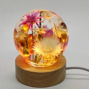 Lampada a forma di fiore in resina: esclusiva luce notturna a sfera con fiori secchi
