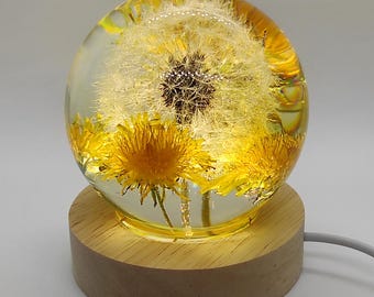 Nature lover gift, real dandelion night light, flower resin lamp