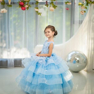 Blue flower girl dress with butterfly, Light Blue Tulle Dress, Birthday, Wedding, Pageant Dress