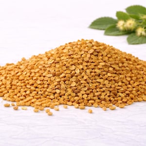 Pode incluir: Uma pilha de pequenas sementes castanho-douradas, possivelmente lentilhas ou uma leguminosa semelhante, está sobre uma superfície branca. Folhas verdes e pequenas flores amarelas são visíveis no fundo.