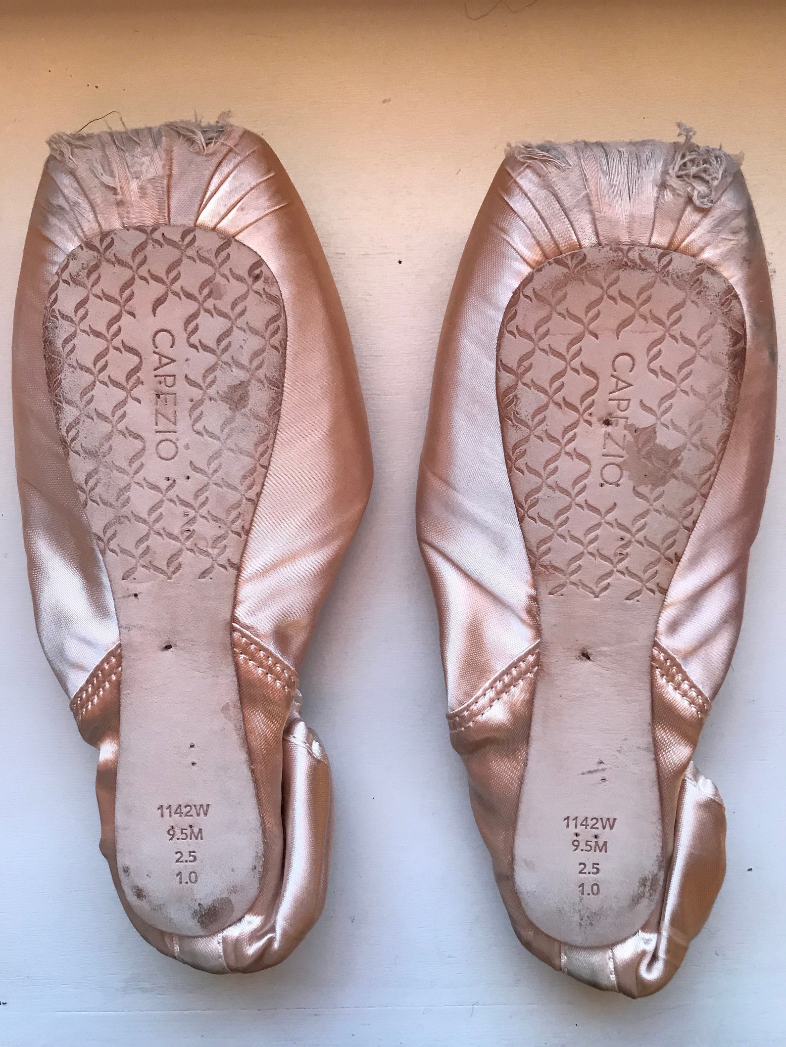 ballet pointe shoes