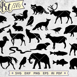 Pacchetto SVG animali della foresta, sagoma animale Svg, animali del bosco Svg, file di taglio per Cricut Silhouette Glowforge, file laser animali