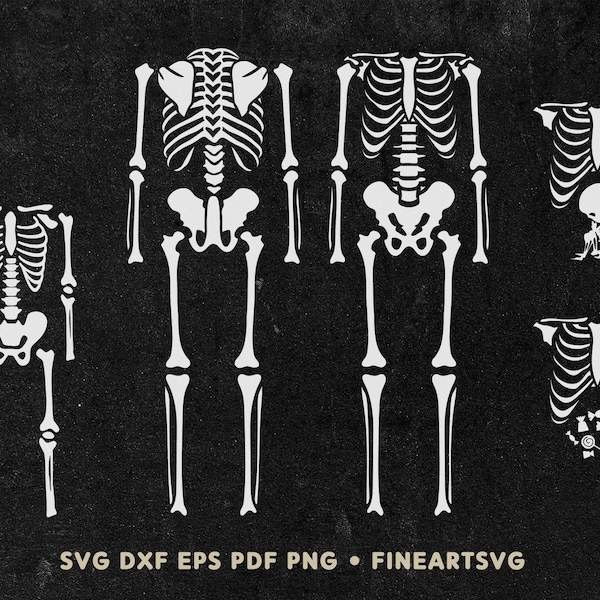 Skeleton Costume SVG Design, Halloween Family Svg, Pregnant skeleton shirt, Cricut & Silhouette files, svg cutting files, png svg dxf eps