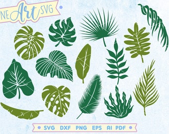 Tropisches Blatt SVG Bundle: Monstera, Palme, Dschungel (Digitaler Download)