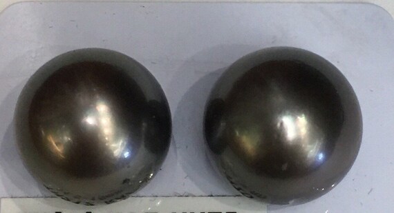 14.5mm Tahitian South Sea Pearl Earrings 14k Yellow Gold