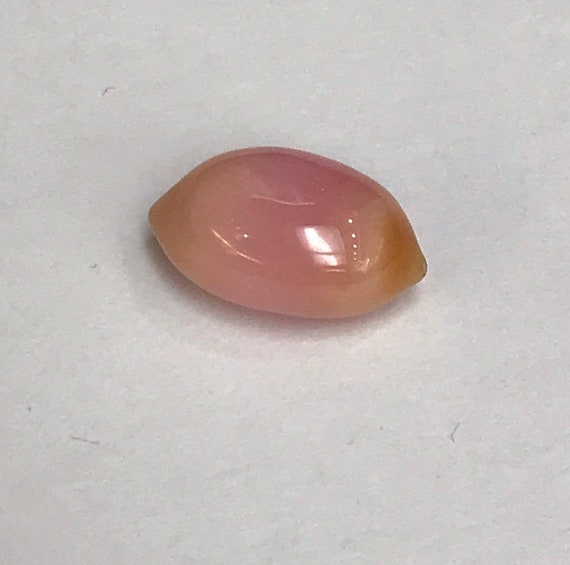 Conch Pearl 4.48 Ct 12.5x 8mm Natutal Color and Natural Pearl