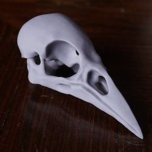 Grande résine de crâne de corvidé impression 3d
