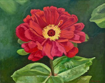 Red Zinnia