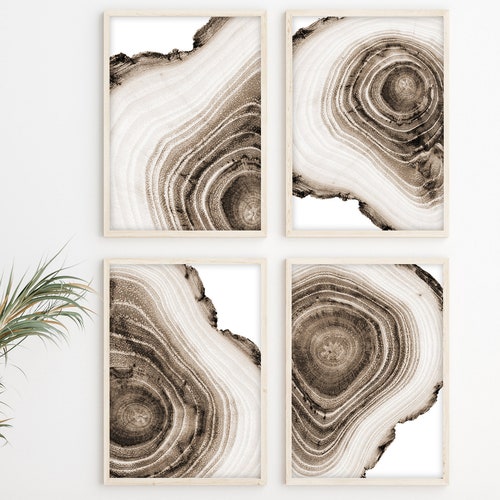 Tree Ring Print Set of 4 Black and White Art Rustic Prints Etsy