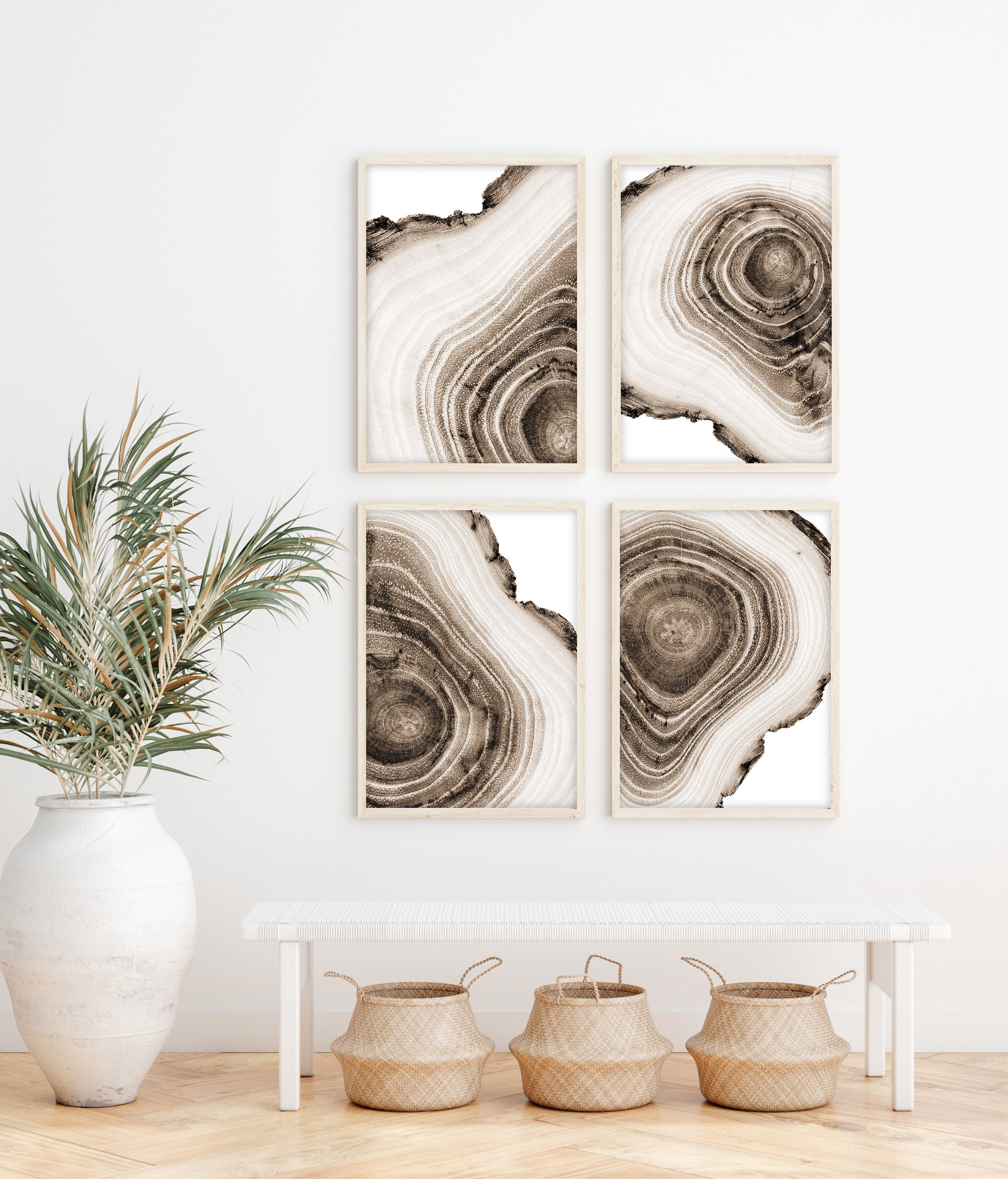 Tree Rings Print Set of 4 Sepia Wall Art Rustic Prints Etsy