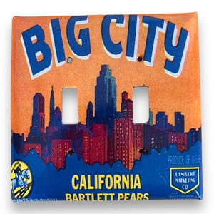 May include: A decorative light switch cover featuring a vintage-style illustration. The design includes the words "BIG CITY" in blue, a cityscape, and the text "CALIFORNIA BARTLETT PEARS". The background is orange and blue.