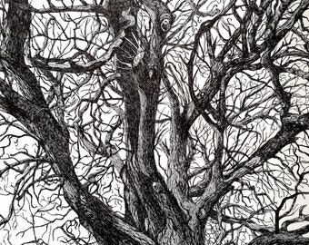 A3 Original Drawing - Tree No.2 - Nature Illustration