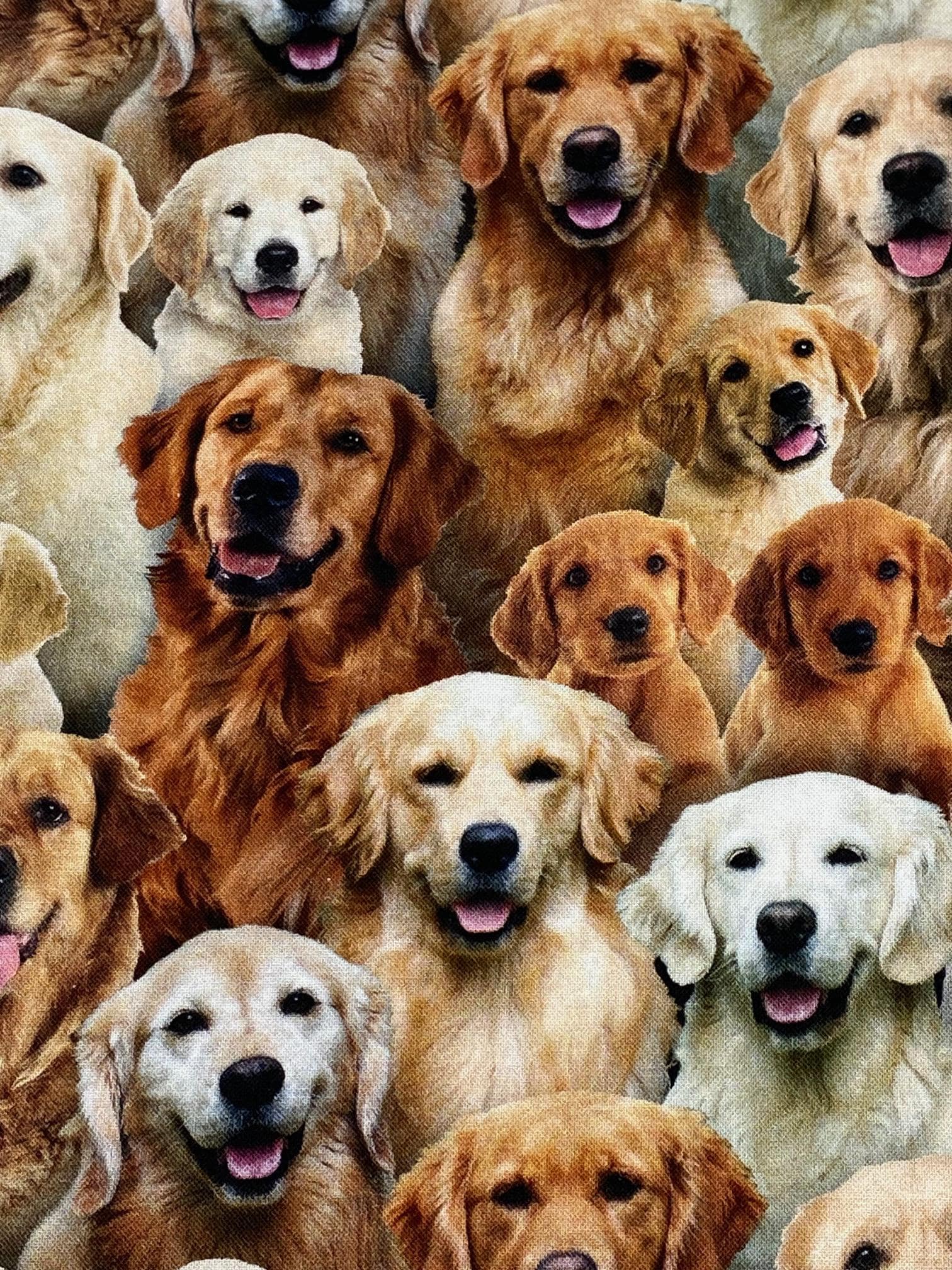 Golden Retriever Jewelry