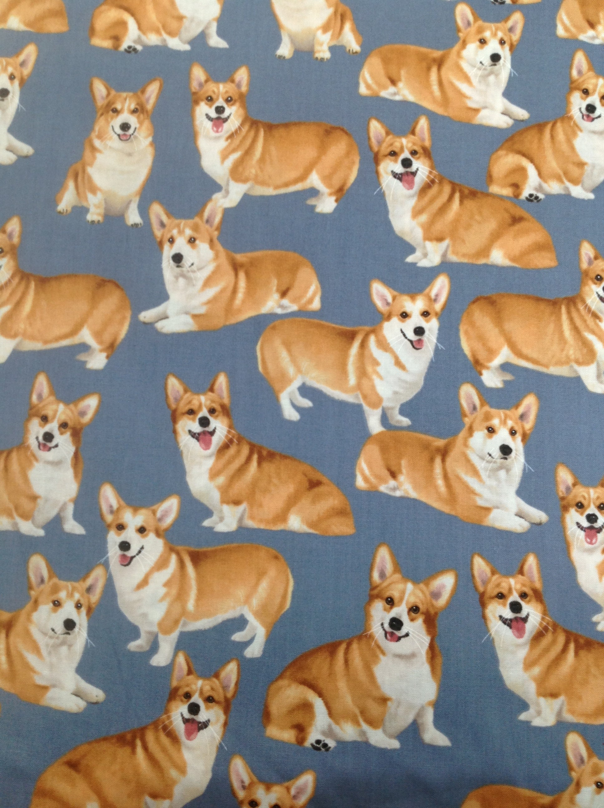 Dog Fabric From Timeless Treasure 100 Cotton Back in Etsy