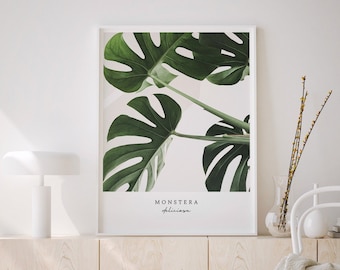 Monstera Print, Tropical Leaf Art, Monstera Wall Art, Monstera Printable, Monstera Art Print, Monstera Art, Monstera Deliciosa