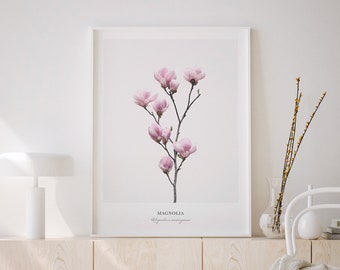 Herb Print, Magnolia Wall Art, Magnolia Print, Botanical Art Flower, Printable Poster, Pink Botanical Print, Botanical Print Set.