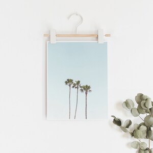 May include: A framed photograph of three palm trees against a light blue sky. The photograph is hanging on a white wall with a wooden dowel and white clips.
