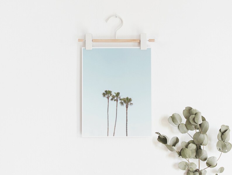 May include: A framed photograph of three palm trees against a light blue sky. The photograph is hanging on a white wall with a wooden dowel and white clips.