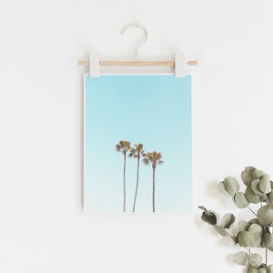 May include: A framed print of three palm trees against a blue sky. The print is hanging on a white wall with a wooden hanger. A sprig of eucalyptus leaves is in the bottom right corner of the image.
