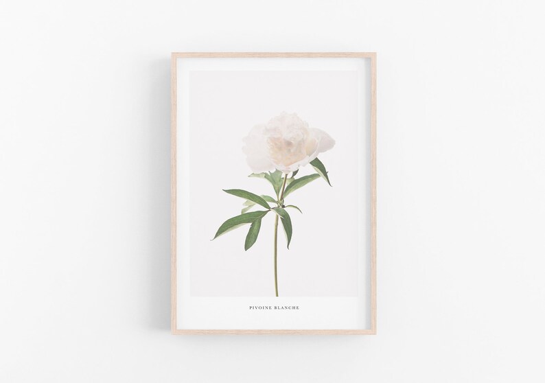Peony Print Wall Art, Flower Printable, Botanical Print, White Peony ...
