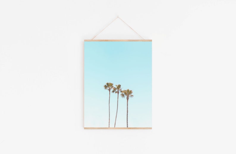 May include: A framed print of three palm trees against a light blue sky.