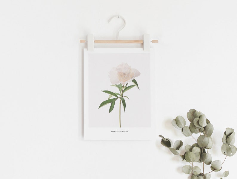 Peony Print Wall Art, Flower Printable, Botanical Print, White Peony ...