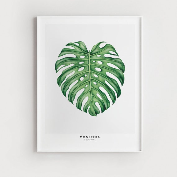 Monstera Wand Kunst druckbare, tropischen Blatt, druckbare Download,  Monstera Blatt Druck, Monstera Druck, Monstera Wandkunst, Pflanze druckbare  Kunst - Etsy sterreich