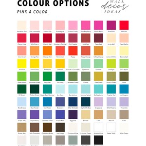 Pu&ograve; includere: Una cartella di 100 campioni di colore con i nomi per ogni colore. La cartella &egrave; intitolata "COLOUR OPTIONS" e "PINK A COLOR". La cartella &egrave; anche intitolata "WALL decor IDEAS".