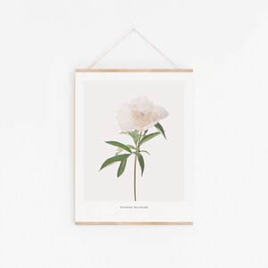 May include: A framed botanical print of a white peony flower with green leaves. The print has the text "PEONY BLANCHE" at the bottom.