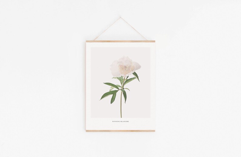 Peony Print Wall Art, Flower Printable, Botanical Print, White Peony ...