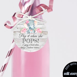 Elephant Baby Shower Champagne Favor Tags Baby Shower Favor Wine Labels Baby Shower Champagne Labels Champagne Bottle Labels Pink Favor Tags