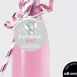 Elephant Baby Shower Champagne Favor Tags Baby Shower Favor Wine Labels Baby Shower Champagne Labels Champagne Bottle Labels Pink Favor Tags