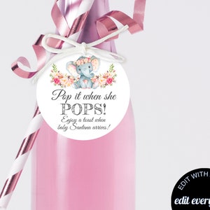 Elephant Baby Shower Champagne Favor Tags Baby Shower Favor Wine Labels Baby Shower Champagne Labels Champagne Bottle Labels Pink Favor Tags