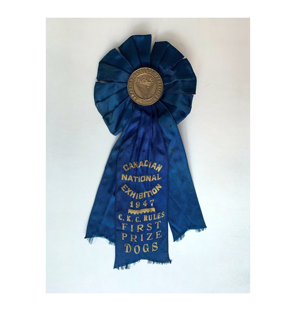 1947 CNE First Prize Dog Show Ribbon CKC Canadian Kennel Club Etsy