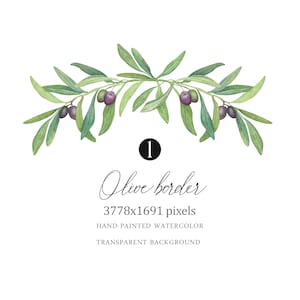 Aquarell Olivenzweig Clipart Grün Rahmen PNG Rustikale Hochzeitseinladung Logo Design Botanische Bordüre Digital Download