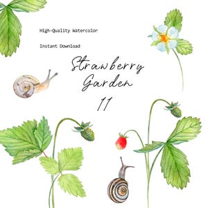 Aquarelle fraise Clipart PNG ensemble feuilles fleurs escargot pour scrapbooking DIY journalisation artisanat fabrication de cartes en téléchargement numérique