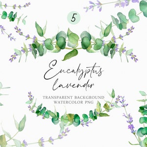 Eucalipto lavanda clipart Moldura em aquarela Arranjo de vegetação saudação casamento convites rústicos logotipo Download digital Cartão de agradecimento PNG