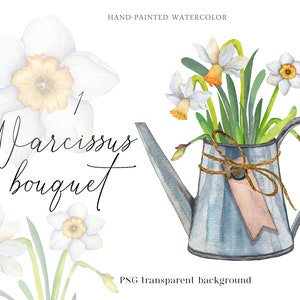 Aquarell Narzisse in Gießkanne Clipart (PNG)