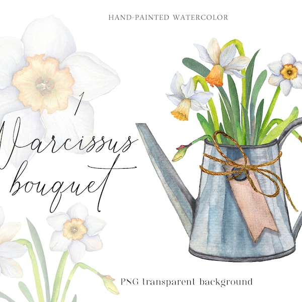 Aquarell Gießkannen Frühlingsstrauß Narzissen weiß Narzissen Blumengarten Valentinstag Clipart PNG Gardening Blooms Farmhouse