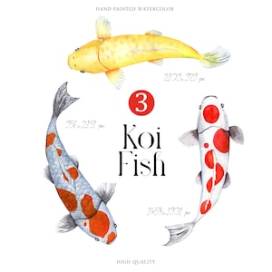 Watercolor Koi fish Hand-Painted clipart Set Japanese brocade carp Illustrations lunar new year Elegant Design Digital PNG instant download