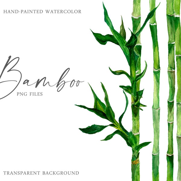 Watercolor bamboo clipart tropical exotic leaves plant greenery Botanical Design element png Instant Download