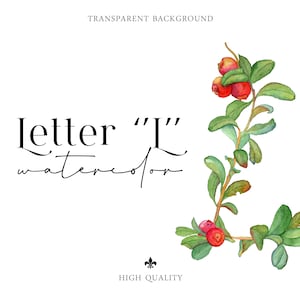 Letras em aquarela png Casamento Cliparts Botânico Berry Alfabeto Monograma separado Decoração de berçário PNG 300dpi download digital