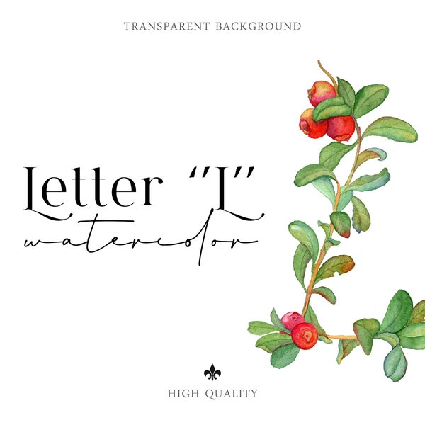 Watercolor letters png Wedding Cliparts Botanical Berry Alphabet Separate Monogram Nursery Decor PNG 300dpi digital download