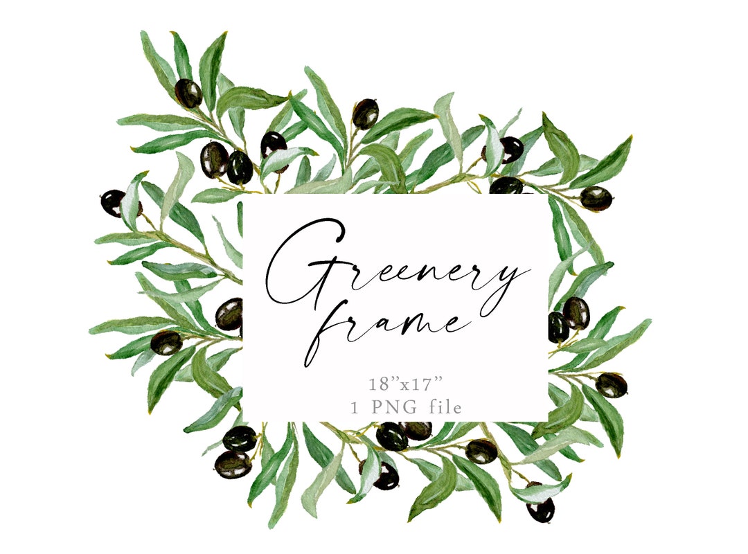 Watercolor Olive Frame PNG Geometric Rectangular Border Greenery ...
