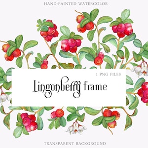 Aquarell Preiselbeere rechteckigen Rahmen Clipart PNG Hochzeitseinladung Botanisches Set Waldpflanzen Digitaler Download