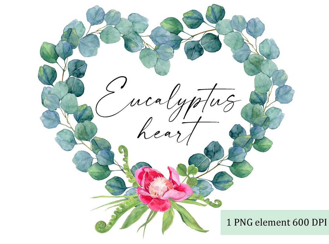 Watercolor Eucalyptus Heart Wreath Clipart (PNG Digital Download) - Etsy