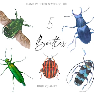 Aquarel boskevers insecten clipart bugs Digitale PNG natuurstudie