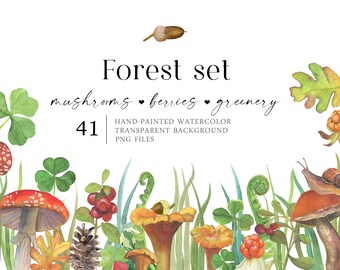 Mushroom watercolor clipart. Berries Herbs Fall clipart Drawn elements for postcards Decoupage Cards Invitations. PNG format transparent bg.