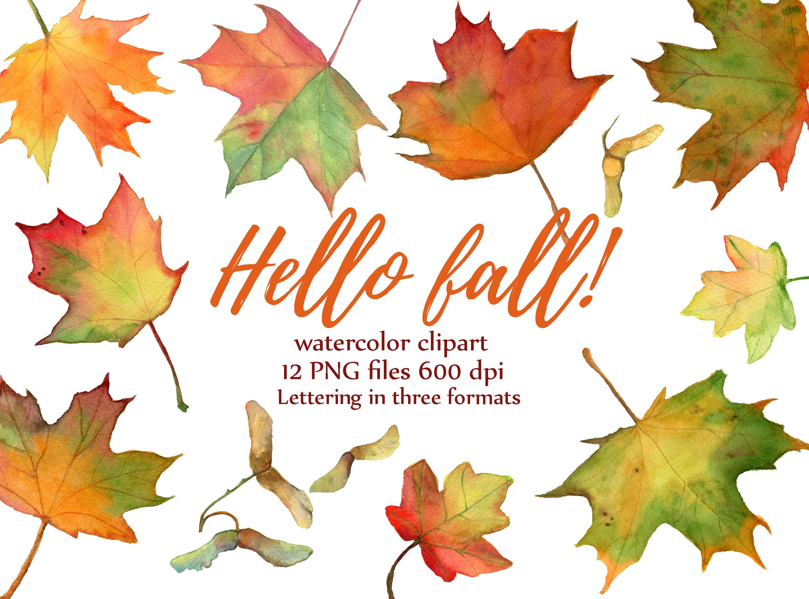 Eps Png Svg Jpg Autumn Colors Clipart High Res