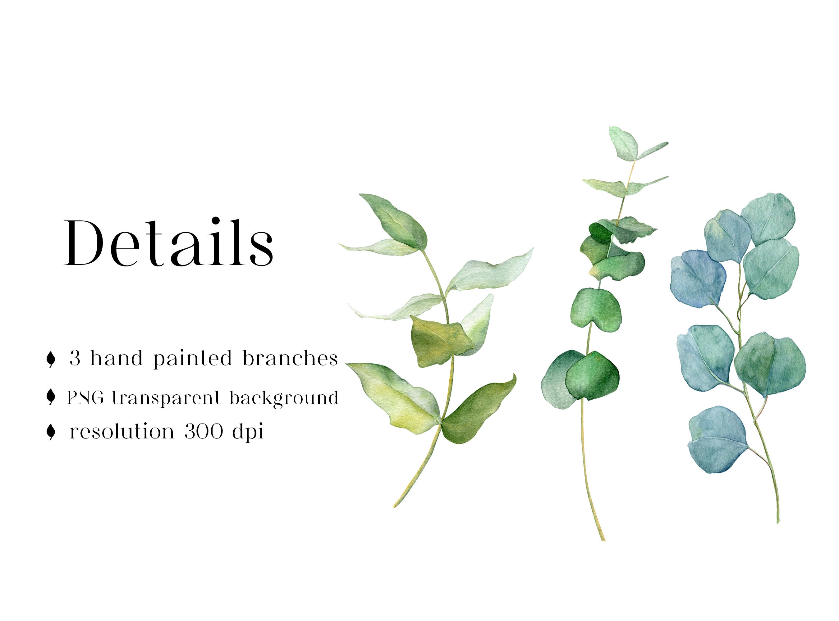Watercolor Eucalyptus Branches Wedding Invitation Greenery Leaves ...